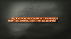 Yaklaşmamanız Gereken EN Acımasız ve Vahşi Hayvanlar 