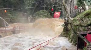 Adana dahil 9 ilde dev siber operasyon: 8.3 milyar liralık suç trafiği, 89 tutuklama