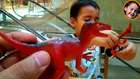 6 Adet Plastik Dinozor ile Oynuyorum - Bir Küçük Adam 2014 [HD] ve Şirinler Oyuncakları