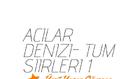Acılar Denizi- Ümit Yaşar Oğuzcan