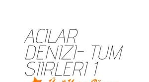 Acılar Denizi- Ümit Yaşar Oğuzcan