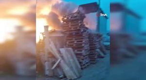 Bursa'da başıboş köpekler küçük çocuğa dehşeti yaşattı!