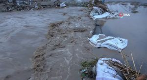 Seyhan Belediyesi Spor Okulları, çocukları sağlıklı bir geleceğe hazırlıyor