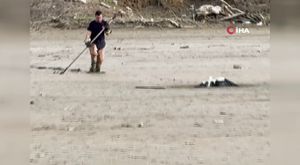 Bursa'da tır, motokuryeye çarptı!
