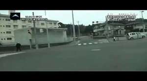 Japonya 2011 Tsunami görüntüleri