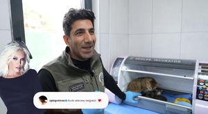 Bursa'da helikopter ve dron destekli uyuşturucu operasyonu