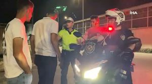 Bursa'da aç kalan domuz sürüsü şehre indi!