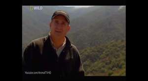[Nat Geo Wild] Tehlikeli Karşılaşmalar: Vahşi Batı (Türkçe Dublaj Belgesel) 