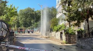 Bursa'da ölmek üzereyken bulduğu kuşu ağzıyla besliyor