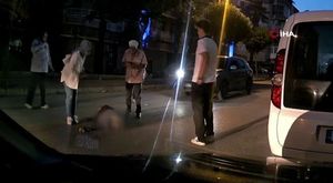 Bursa'da aç kalan domuz sürüsü şehre indi!