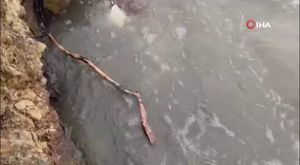 Twitch yayıncısı depreme canlı yayında yakalandı: Euzübillahimineşşeytanirracim