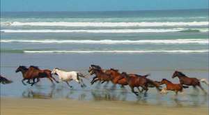 Loituma - Levan Polka (the official video) 