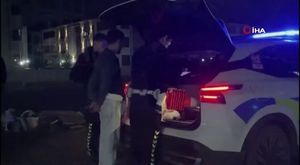 Seyir halindeki tıra yaklaşıp içindeki koyunları çaldılar