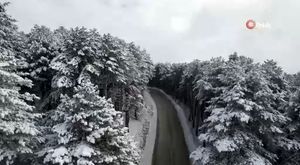 Bursa İnegöl'de bin 225 şahıs sorgulandı