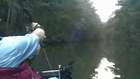 Alligator Hunting 