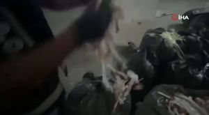 Bursa'da trafiğe dijital göz hapsi