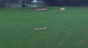 Kırmızı bültenle aranan 13 kişi ve ulusal seviyede aranan 1 kişi Türkiye’ye getirildi