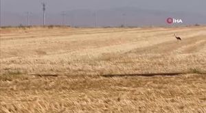 Bursa'da çatı yangını büyümeden söndürüldü