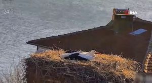 {2BA2C276-597D-4264-A976-A391D4D577DC}