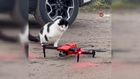 Kedinin dronla oyunu kamerada