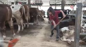 Bursa'da 4 kişinin yaralandığı kavgada 1 kişi tutuklandı