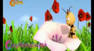Arı Maya 18.Bölüm (Arılarla Dans)