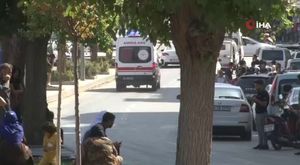 Bursa Kurtul göletinde balık ölümleri