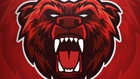 GamerBear