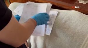 İznik Gölü'nde sazan bereketi