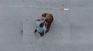 PEHLİVANLARI ALNINDAN ÖPMÜŞTÜ: ELEŞTİRİLERE YANIT VERDİ