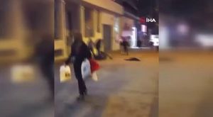 Bursa'da gezen tilki böyle görüntülendi