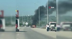 Bursa'da 6 aylık kedi için büyük seferberlik!