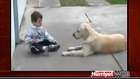 Down sendromlu çocuk ve köpek
