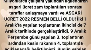Çimlendirmenin en kolay yöntemi - Maydanoz Çimlendirme videomuz- Garden -Basit Maydanoz Ekimi 