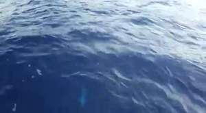 denizde radarsız balık bulma teknikleri