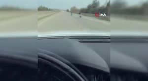 Müşteri gibi geldi, zeytin bidonunu alarak gözden kayboldu