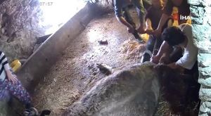 SİLAHLI KUYUMCU SOYGUNU KAMERADA: 3 MİLYONLUK ALTIN ÇALINDI