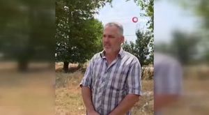 Bursa'da kontrolden çıkan otomobil ağaca çarptı, yaya son anda kurtuldu!