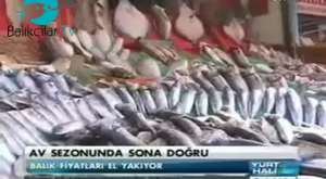 İstanbul Deniz ürünleri avcıları derneği Balıkçılığın gelişmesi yaptığı katkılardan dolayı TRT haber'e Plaket verildi. (15.02.2013)