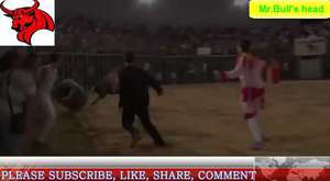Bull fighting Funny video Top Bulls Demolishing People - Video Dailymotion