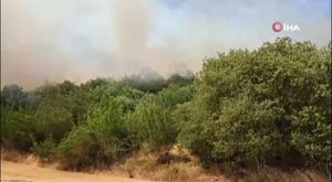 Bursa'da LÖSEV’den lösemili çocuklar için bilim ve doğa köyü