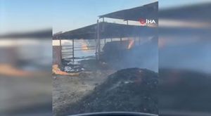 Tartıştığı adama arka arkaya tokat attı