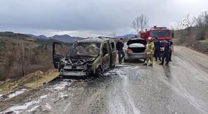 Bursa'da araç motoruna kedi değil, horoz girdi