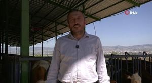 Dünyanın renklerini İnegöl’de buluşturan festival başladı