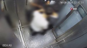 Yavru kediyi önce öptü, sonra boğdu