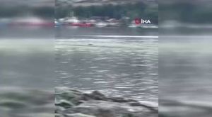 Bursa'da kamyonetin çarptığı ambulans bahçeye uçtu! Çok sayıda yaralı var...