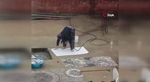 Bolu'da korkutan deprem! Bursa'dan da hissedildi...