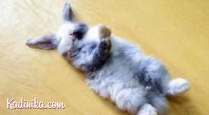 Meksika'da Otobana Bilboard Düştü - Kadinika.com