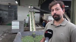 Bunu da gördük! Taksici aracını sağa çekti, tuvaletini yaptı