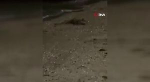 Maçka Parkı'ndaki kıyafet tartışmasında karar